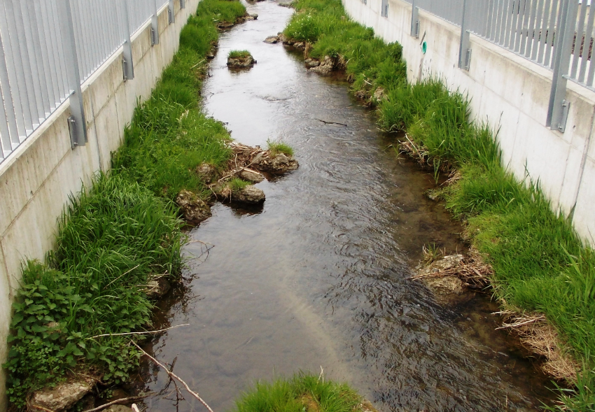 Restoring Streams: A Crucial Step for Controlling Urban Water Pollution